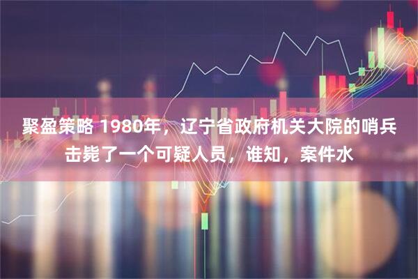 聚盈策略 1980年，辽宁省政府机关大院的哨兵击毙了一个可疑人员，谁知，案件水