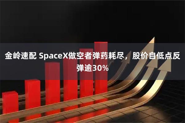 金岭速配 SpaceX做空者弹药耗尽，股价自低点反弹逾30%
